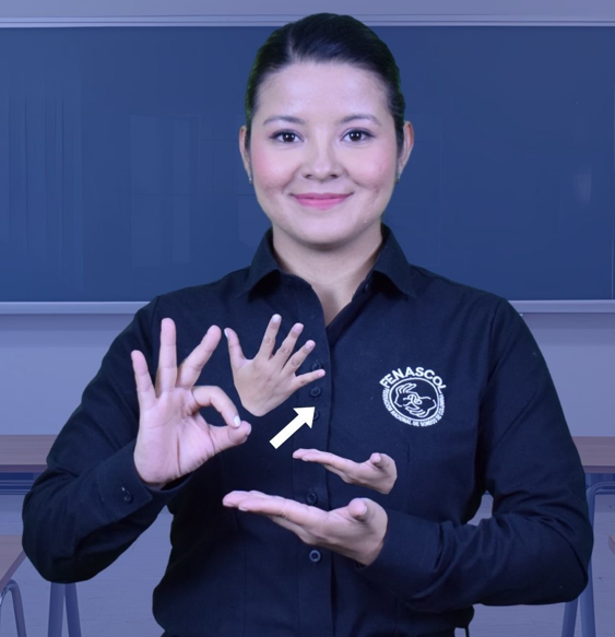 Servicio de Interpretación Virtual - SERVIR